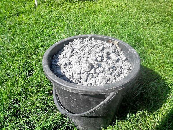 cinzas como fertilizante para plantas
