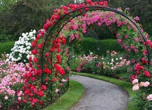 arco do jardim