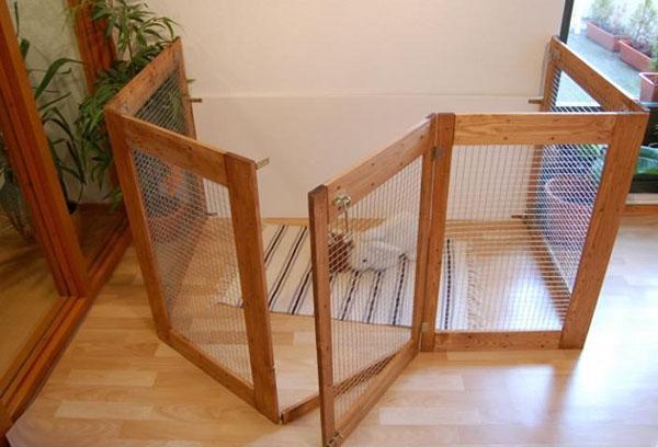 simple aviary in the apartment