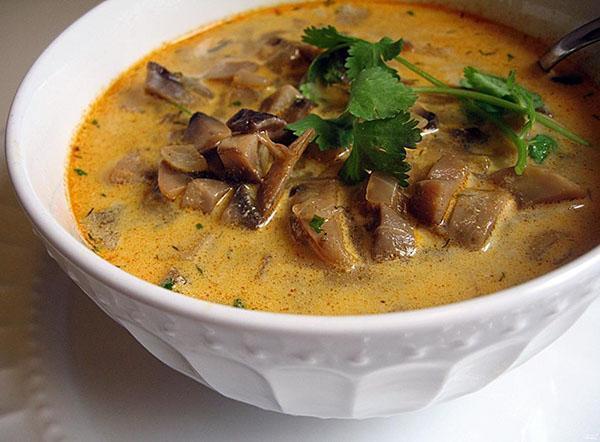 aromatyczna zdrowa zupa z mrożonych grzybów