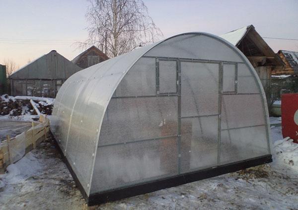greenhouse work in February