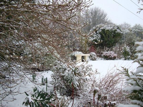 un giardino sotto uno strato di neve
