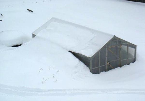 Gewächshaus unter dem Schnee