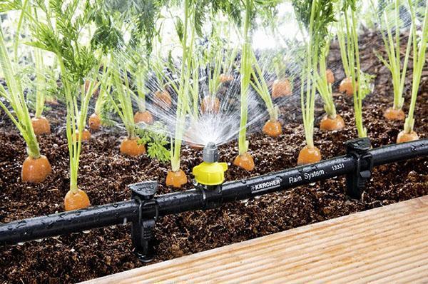 automatische Bewässerung des Gartens