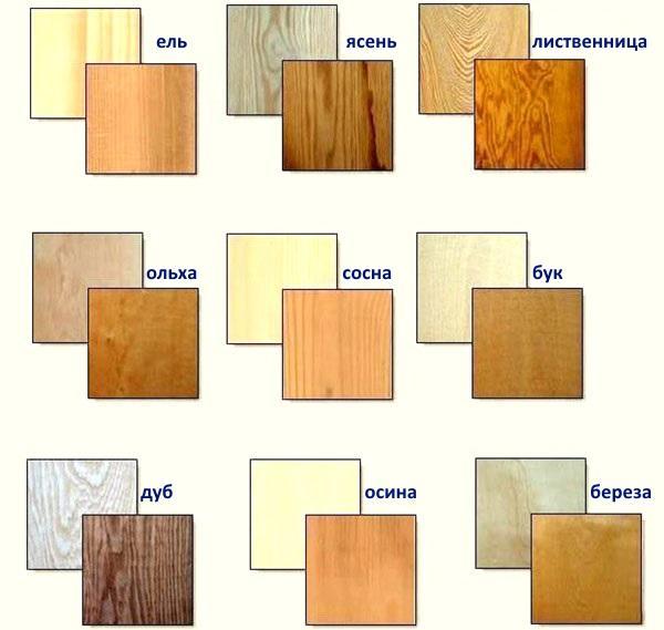 druhy dřeva