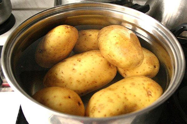 cozer batatas