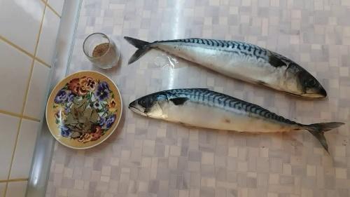 how to pickle mackerel