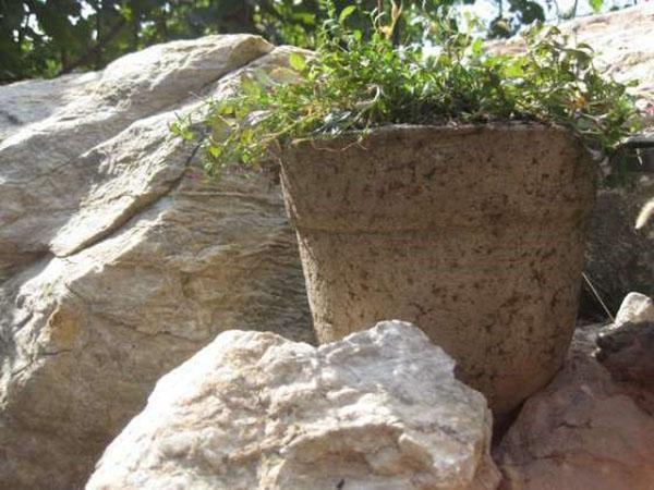 enkel planter lavet af cement