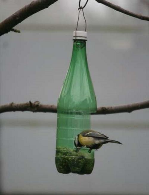 bottle feeder