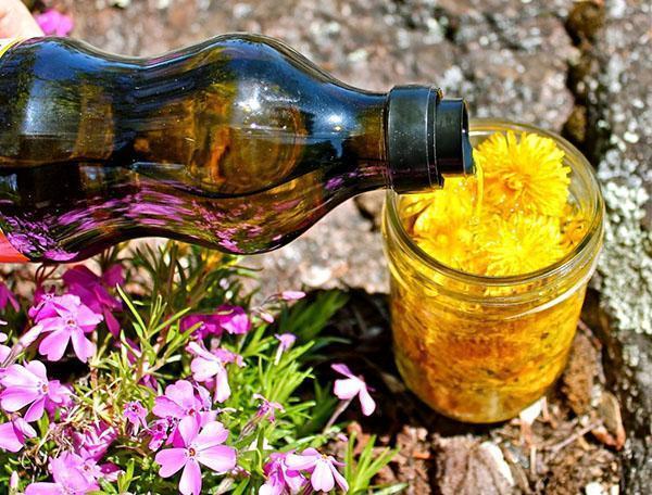 dandelion oil