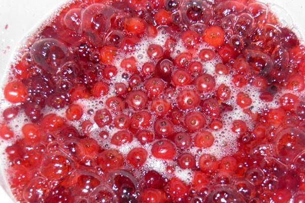 grind cranberries with sugar