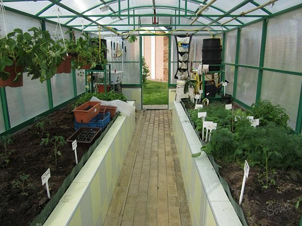střídání plodin ve skleníku