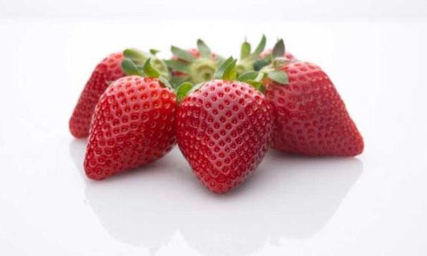 variétés de fraises Sensation