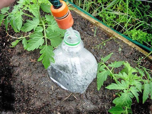 irrigazione a dosaggio semplice