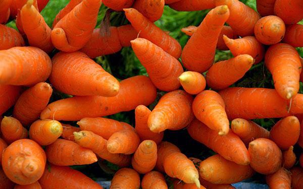 morcovi în medicină