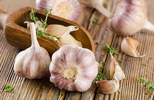i benefici e i danni dell'aglio per il corpo umano
