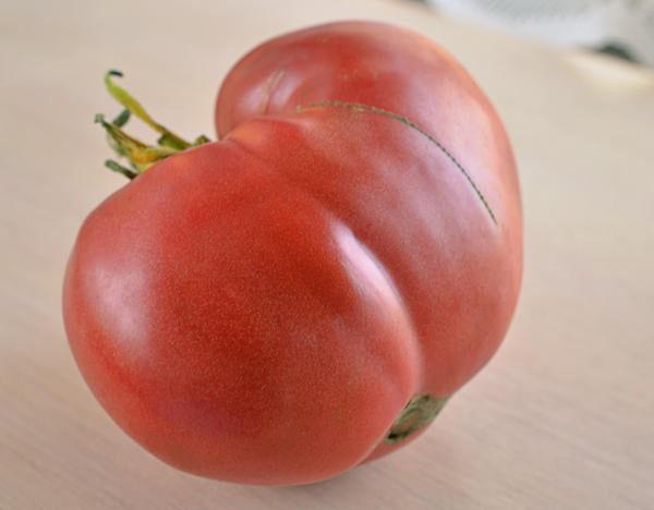 saftige süße Tomate