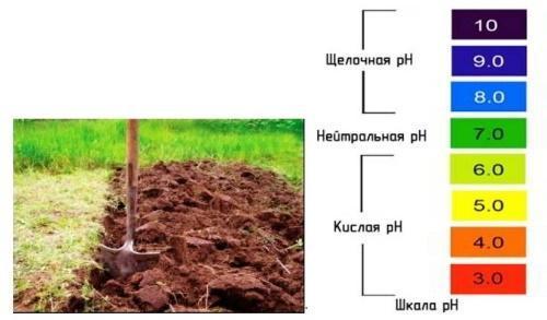 como determinar a acidez do solo