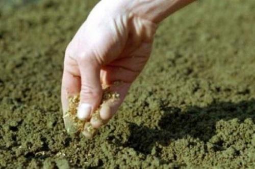 semina con sabbia