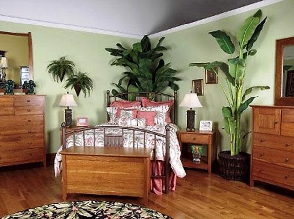 نباتات كبيرة في غرفة النوم
