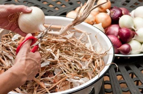 onion preparation
