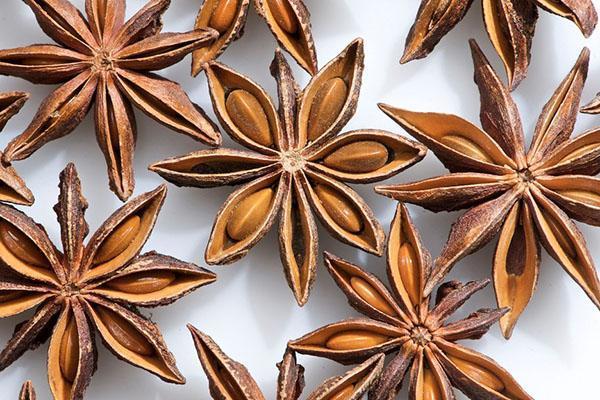 proprietăți benefice ale semințelor de anason