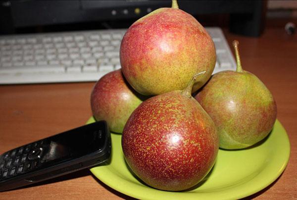 unusual color of pear fruits