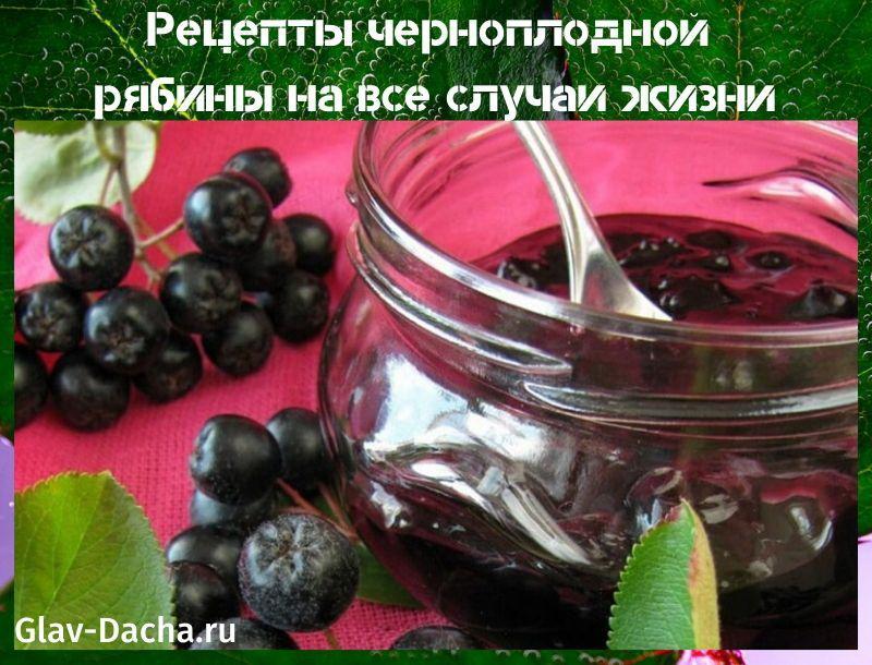 chokeberry recepty