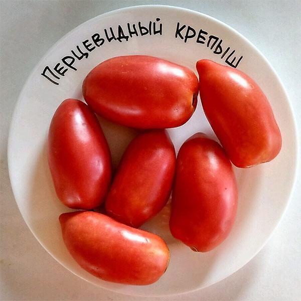 tomato berbentuk lada kuat