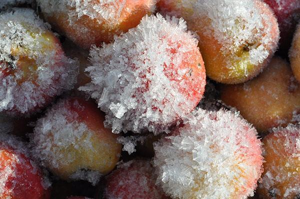 freezing apples for the winter