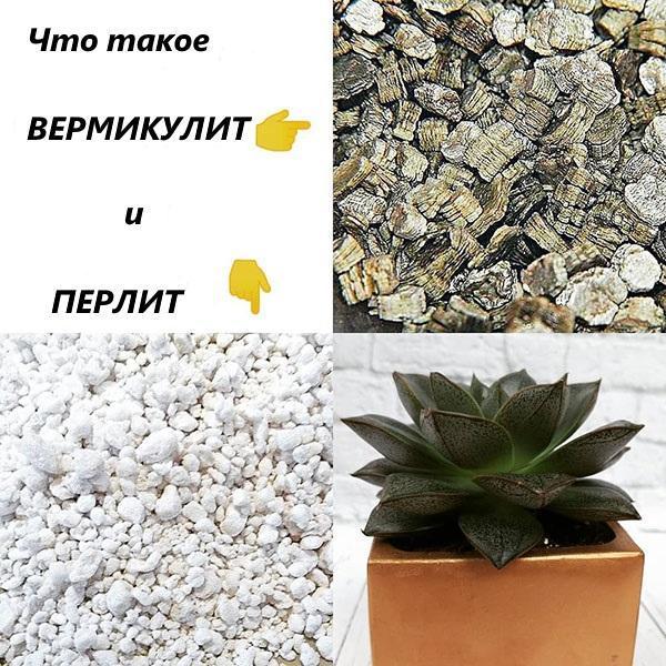 Was ist der Unterschied zwischen Perlit und Vermiculit?