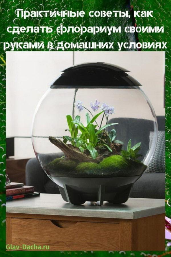 Do-it-yourself-Florarium
