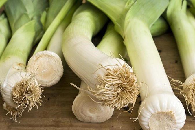 useful properties of onion batun
