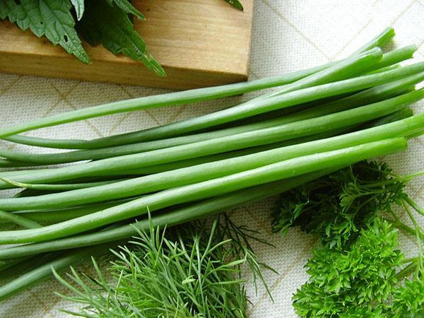 green onions and their properties