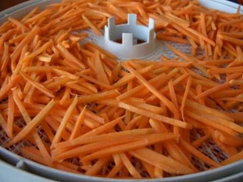 tørring af gulerødder
