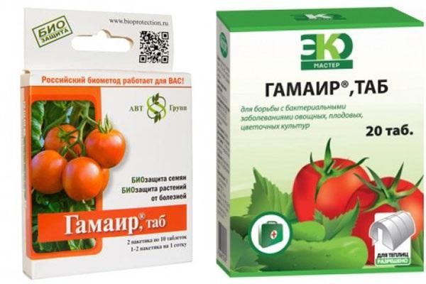 gamair przeciwko chorobom pomidorów