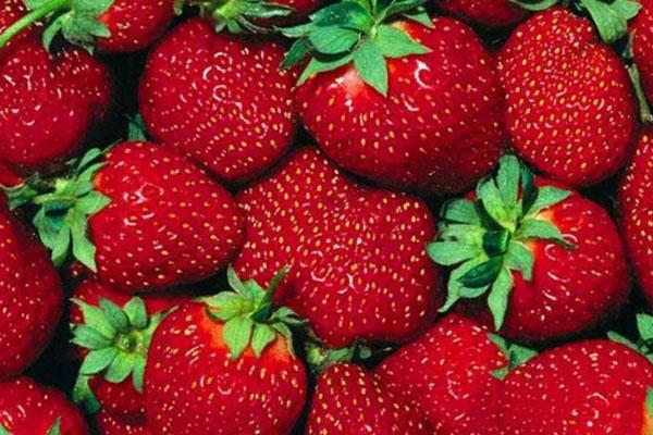 Erdbeeren haben viel Vitamin C.