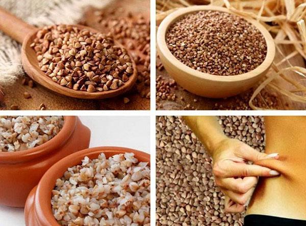 benefícios para a saúde e danos do trigo sarraceno