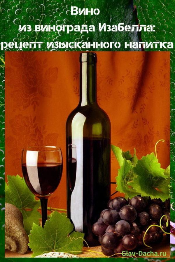 Ricetta del vino d'uva Isabella