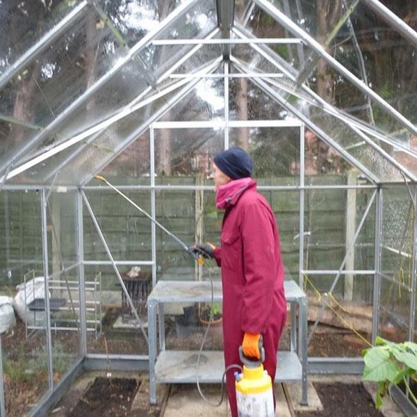 greenhouse treatment against late blight
