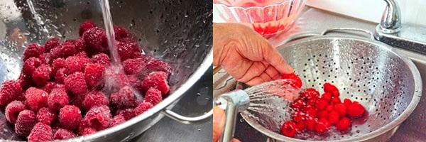 spala fructele de padure