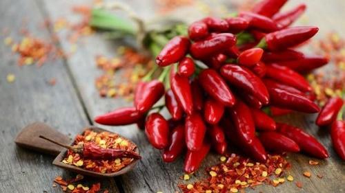 nutriční hodnota chilli papriček