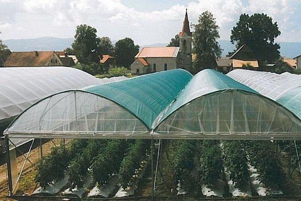 shading net for greenhouses