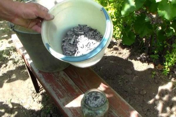 charcoal and ash have beneficial properties