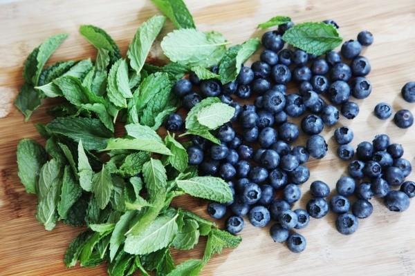 khasiat blueberry yang bermanfaat