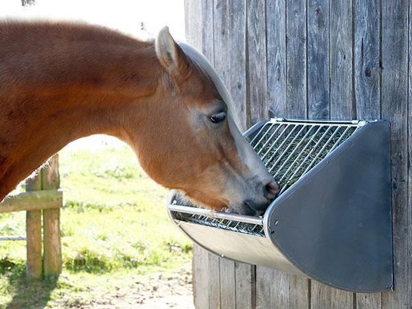 alimentador de cavalls