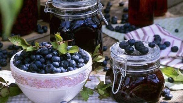 menuai blueberry untuk musim sejuk