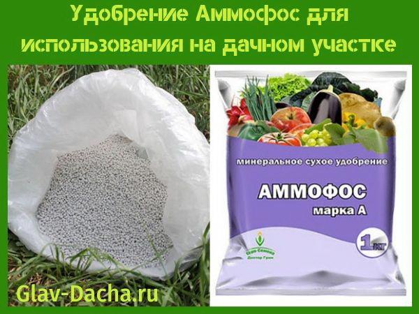 fertilitzant ammophos per a cases d’estiu