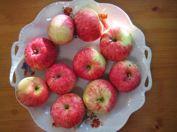 prinokę obelų veislės „Grushovka Moskovskaya“ vaisiai