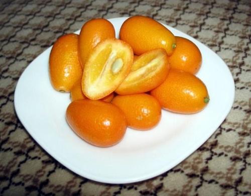 pode kumquat provocar cistite